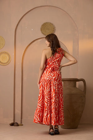 Spiced Zebra Swing Dress