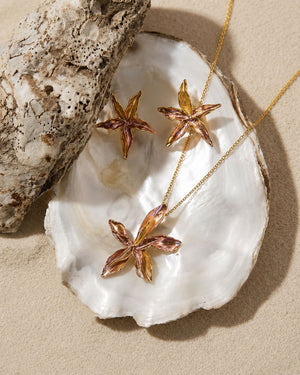 Treasures of the Shore Set